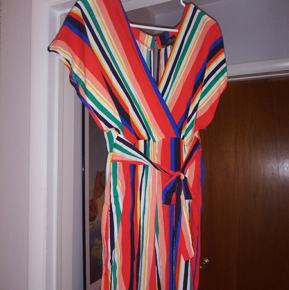 Multicolor Striped Jumpsuit - Picture 3 of 3